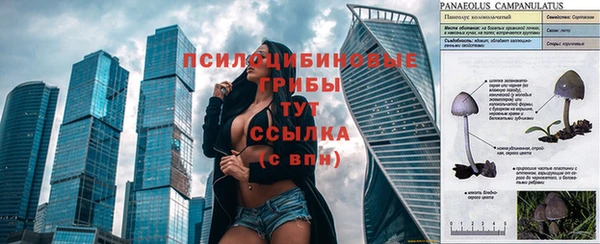 соль курить ск Алзамай